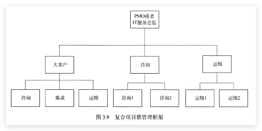 复合项目群管理框架